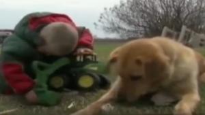 Dog Protects Missing Toddler