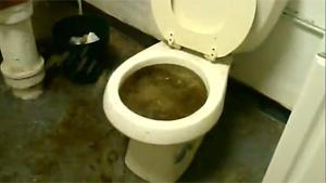 Sewer trouble