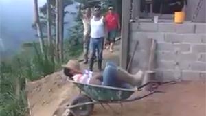 Taking A Nap In Wheelbarrow