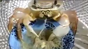 Crab Eating Noodles