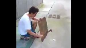 Exploding Cellphone Battery