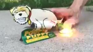 Shitting Dog On Fire
