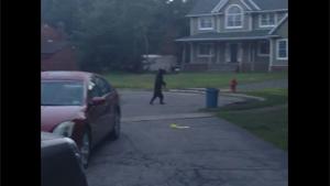 Bear Walks Like A Human