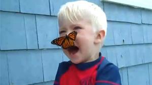 Butterfly Kisses Boy Goodbye