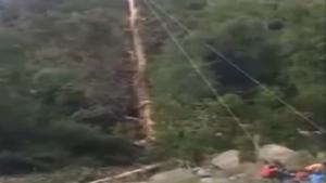 Cutting Tree Ends In Disaster