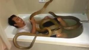 Just Bathing With My Snakes