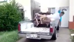 Falling From Truck In Style