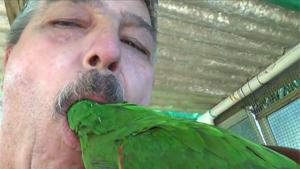 Biting Off Parrot's Head