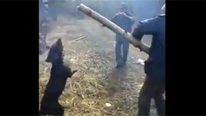 Extreme Fetch