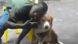 This Dog Isn't His Best Friend