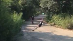 Longboarder Crashes Hard