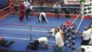 Boxer Knocks Out Referee