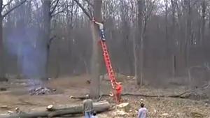 Cutting Tree Goes Horribly Wrong