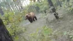 Chased By A Bear