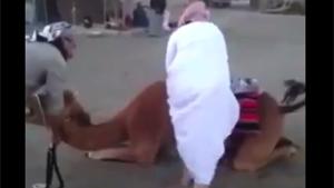 Camel Mount Fail