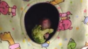 Rat Throws Out His Vegetables
