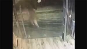 Running Against Glass Door
