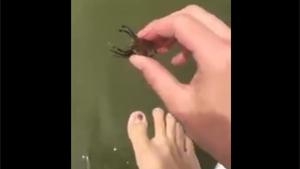 How Catch A Fish With Your Toe