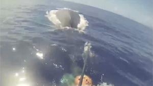 Entangled Whale Cut Free