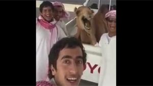 Selfie With A Camel