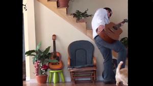 Instant Karma For Cat Abuser