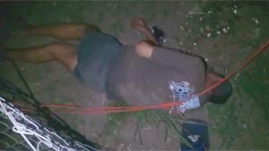 Taking A Nap On Electric Fence
