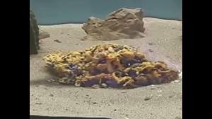 Chemical Underwater Experiment