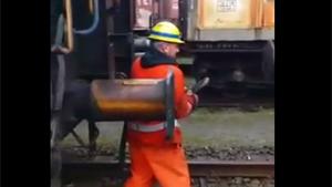 Shunter Takes A Hit