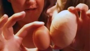 Eggception