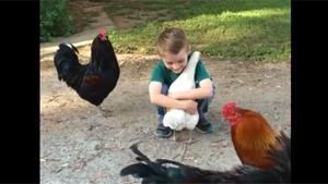 Kid Loves Chick