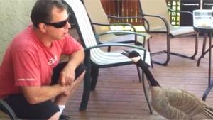 Interesting Conversation With Goose