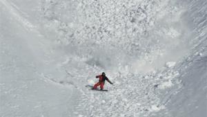 Rabbit Escapes Avalanche