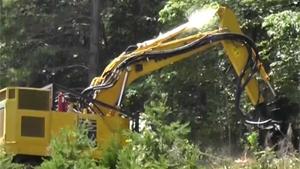 Tree Shredder In Action