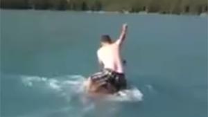 Riding Swimming Moose