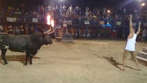 Bull With Flaming Horns Vs Idiot