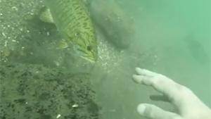 Underwater Fishing