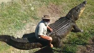 Riding On The Back Of A Crocodile