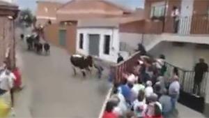 Bull Runs Into Crowd
