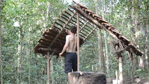 Building A House In The Jungle