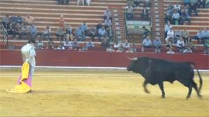 Matador Spun Around By Bull