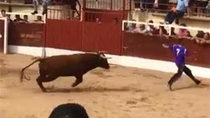 Bull Takes Big Jump