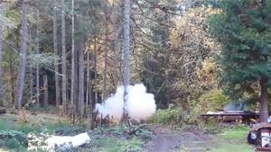 Cutting Tree With Explosives