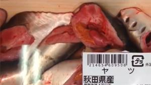 Packaged Fish In Japan