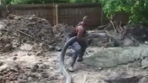 Builder Launched By Hose