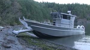 Amphibious Boat