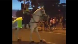 Playing Soccer With Police Horse