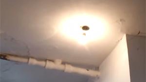 Pissing Light Bulb To Pieces