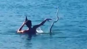 Snake Disturbs Swim