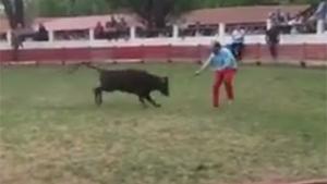 Baby Bull Takes Out Dumbfuck