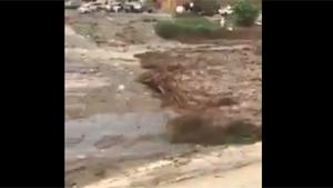Flash Flood In Saudi Arabia
